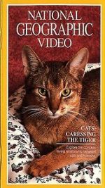 Watch Cats: Caressing the Tiger M4ufree