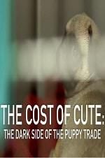 Watch The Cost of Cute: The Dark Side of the Puppy Trade M4ufree