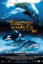 Watch Dolphins and Whales 3D Tribes of the Ocean M4ufree