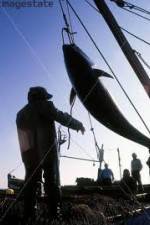 Watch National Geographic: Cheating Death Tuna Cowboys M4ufree