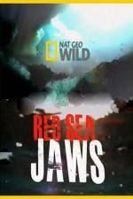 Watch National Geographic Red Sea Jaws M4ufree