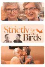 Watch Strictly for the Birds M4ufree