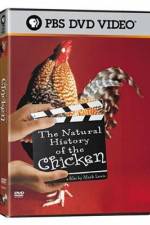 Watch The Natural History of the Chicken M4ufree