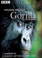 Watch Gorilla Revisited with David Attenborough M4ufree
