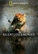 Watch Relentless Enemies M4ufree