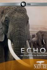 Watch Echo: An Elephant to Remember M4ufree