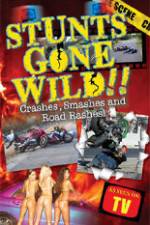 Watch Stunts Gone Wild: Crashes, Smashes & Road Rashes! M4ufree