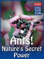 Watch Ants: Nature\'s Secret Power M4ufree