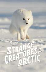 Watch Strange Creatures of the Arctic (TV Special 2022) M4ufree