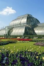 Watch Cruickshank on Kew: The Garden That Changed the World M4ufree