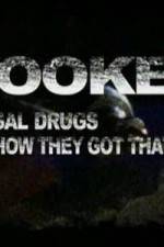 Watch Hooked: Illegal Drugs & How They Got That Way - LSD - Ecstacy and the Raves M4ufree