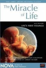 Watch The Miracle of Life M4ufree