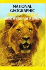 Watch National Geographic: Walking with Lions M4ufree