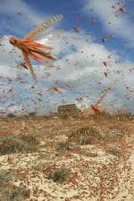 Watch Swarm Chasers: Locusts M4ufree