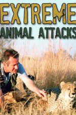 Watch Extreme Animal Attacks M4ufree