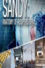 Watch Sandy Anatomy Of A Superstorm M4ufree