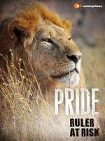 Watch Pride - Ruler\'s at Risk M4ufree