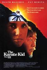 Watch The Karate Kid, Part III M4ufree
