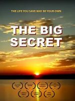 Watch The Big Secret M4ufree