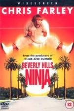 Watch Beverly Hills Ninja M4ufree