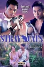Watch Stray Cats M4ufree