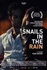 Watch Snails in the Rain M4ufree