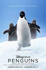 Watch Penguins M4ufree