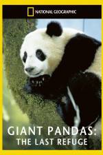 Watch National Geographic Giant Pandas The Last Refuge M4ufree