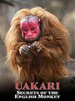 Watch Uakari: Secrets of the English Monkey M4ufree