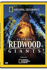 Watch National Geographic Explorer: Climbing Redwood Giants M4ufree