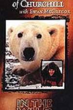 Watch The Polar Bears of Churchill with Ewan McGregor M4ufree