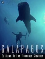Watch Galapagos: Realm of Giant Sharks M4ufree