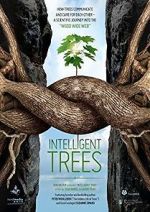Watch Intelligent Trees M4ufree