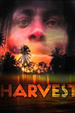 Watch Harvest M4ufree