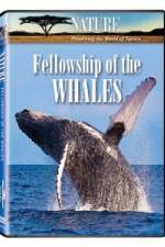 Watch Fellowship Of The Whales M4ufree