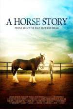 Watch A Horse Story M4ufree
