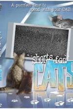 Watch Shorts for Cats M4ufree