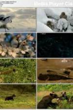 Watch National Geographic: Japans Hidden Secrets M4ufree