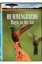 Watch Hummingbirds Magic in the Air M4ufree
