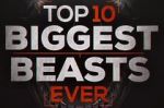 Watch Top 10 Biggest Beasts Ever M4ufree