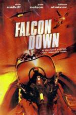 Watch Falcon Down M4ufree