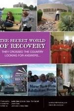 Watch The Secret World of Recovery M4ufree