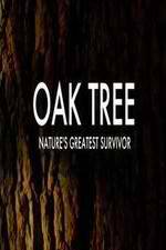 Watch Oak Tree Natures Greatest Survivor M4ufree
