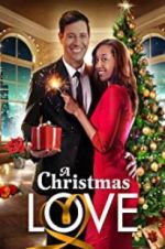 Watch A Christmas Love M4ufree