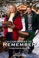 Watch A Christmas to Remember M4ufree
