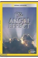 Watch National Geographic Explorer - The Angel Effect M4ufree