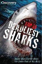 Watch National Geographic Worlds Deadliest Sharks M4ufree