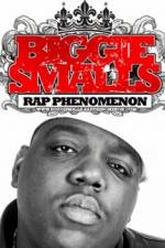 Watch Biggie Smalls Rap Phenomenon M4ufree