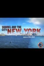 Watch Sharks and the City: New York M4ufree