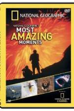 Watch National Geographic's Most Amazing Moments M4ufree